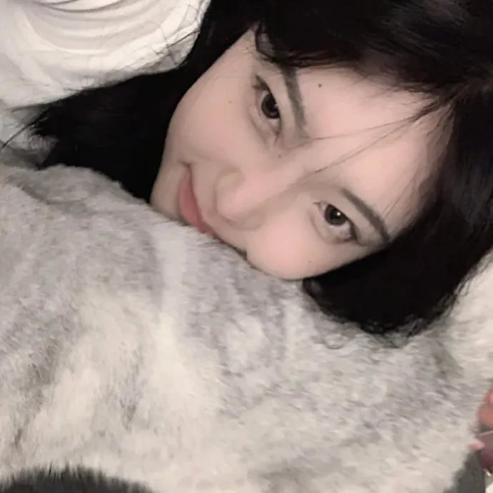 拳赌双至尊国语