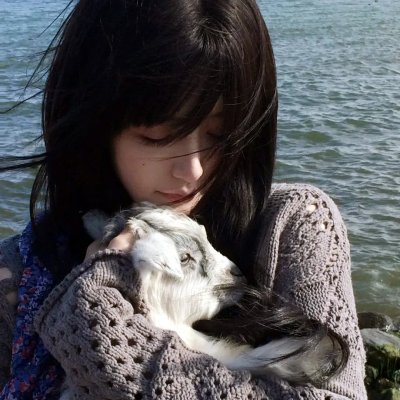 新蝙蝠侠第四季